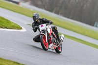 Oulton-Park-14th-March-2020;PJ-Motorsport-Photography-2020;anglesey;brands-hatch;cadwell-park;croft;donington-park;enduro-digital-images;event-digital-images;eventdigitalimages;mallory;no-limits;oulton-park;peter-wileman-photography;racing-digital-images;silverstone;snetterton;trackday-digital-images;trackday-photos;vmcc-banbury-run;welsh-2-day-enduro